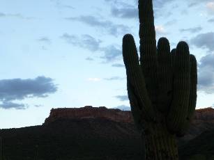 waravaipa-2013-day1-3  Saguaro sunrise.jpg (131918 bytes)